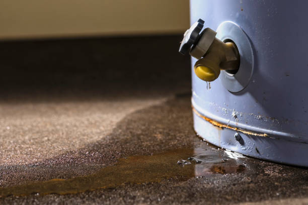 Best 24/7 water damage repair  in Parowan, UT