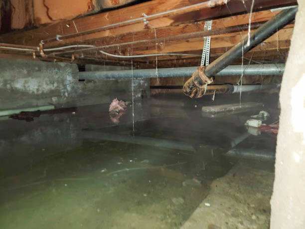 Best Water damage restoration near me  in Parowan, UT