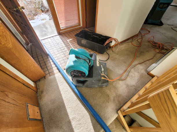 Best Emergency water damage restoration  in Parowan, UT
