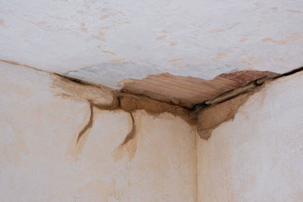 Water damage restoration insurance claims in Parowan, UT