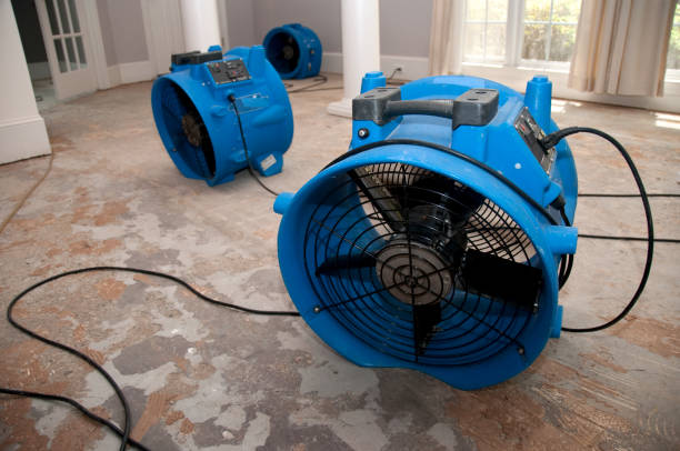 Fire Damage Restoration in Parowan, UT