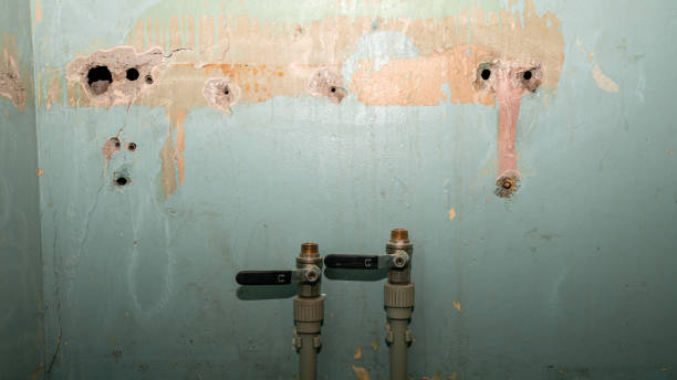 Best Water damage restoration specialists  in Parowan, UT