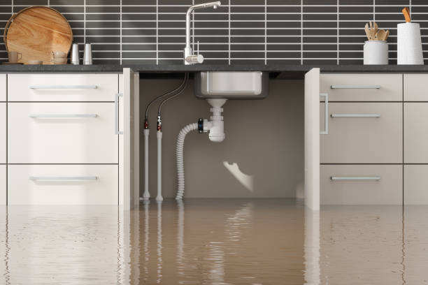 Best Fire Damage Restoration  in Parowan, UT