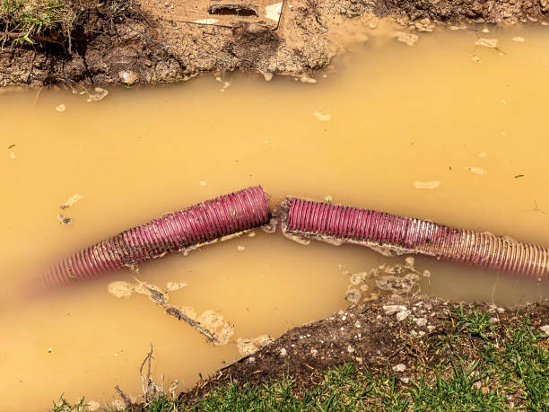 Best Residential water damage restoration  in Parowan, UT