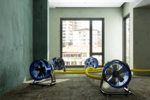 Best Water damage repair service  in Parowan, UT