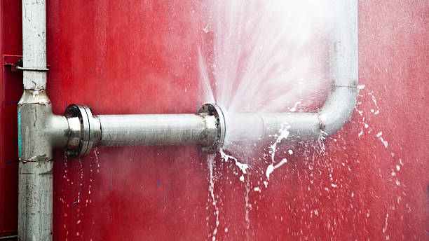 Best Carpet water damage restoration  in Parowan, UT